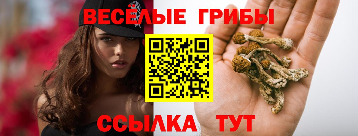 Галлюциногенные грибы MAGIC MUSHROOMS Сибай